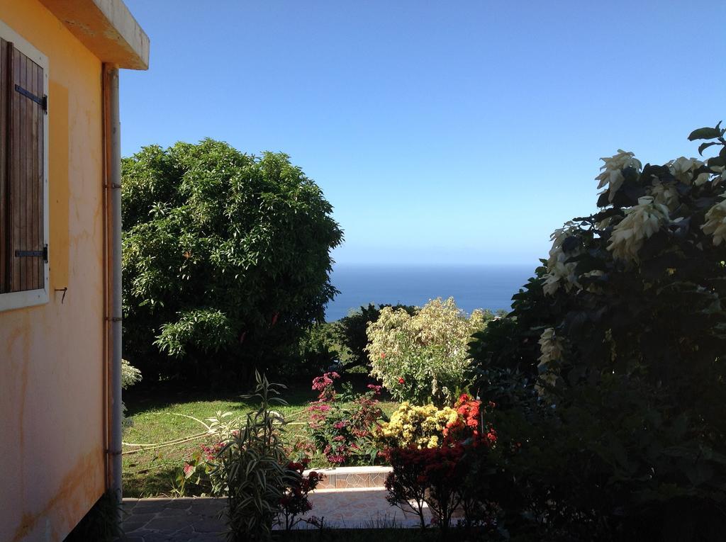 Villa Des Iles Basse-Terre Exterior foto